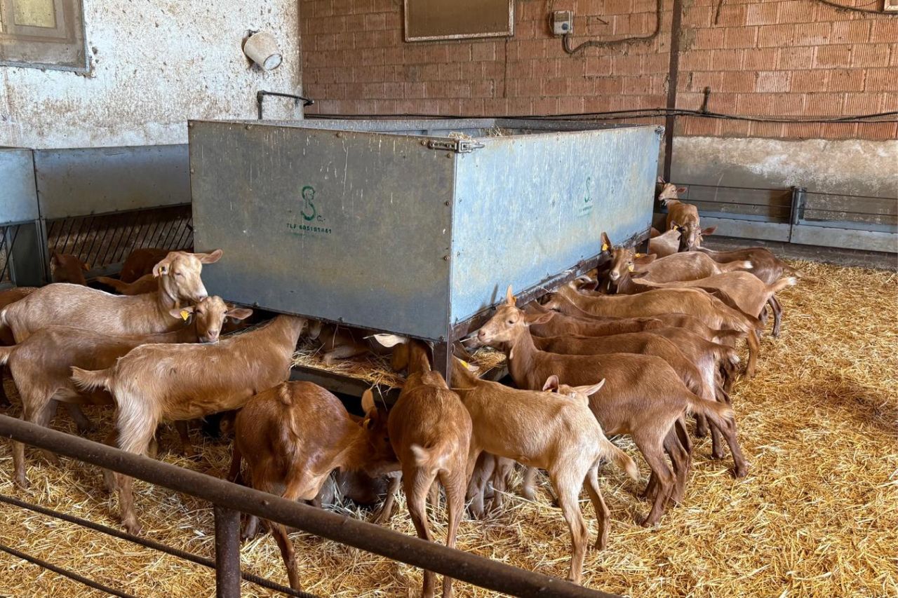 Visita finca Cabrama